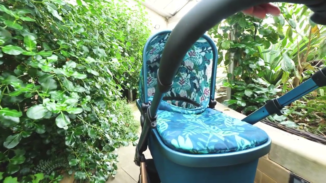 Midnight Jungle - The New Collection from Cosatto