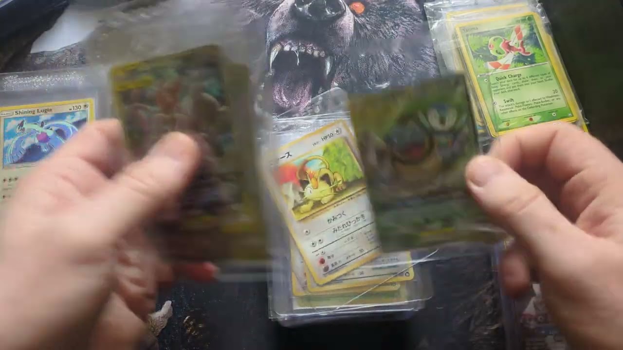 Видео Pokémon TCG: Another Chaos