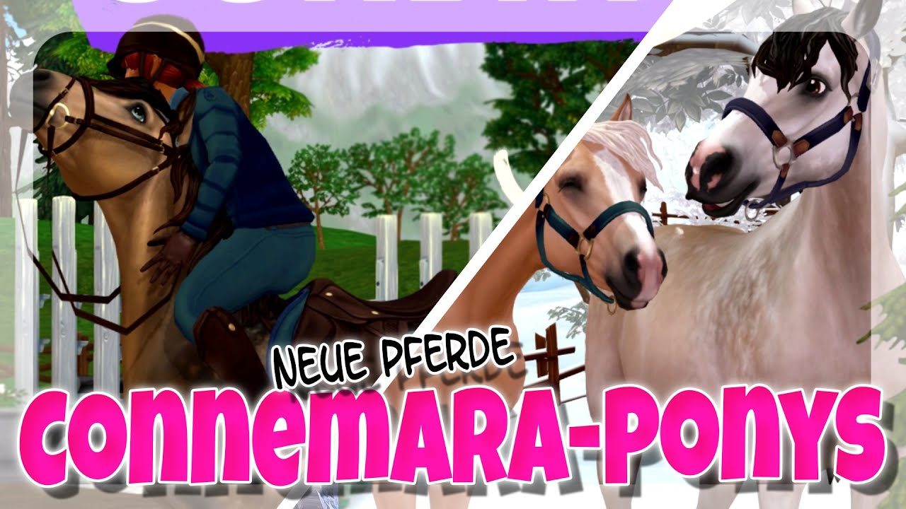 DIE NEUEN CONNEMARA PONYS 🐴 NEUE PFERDE | Star Stable [SSO]
