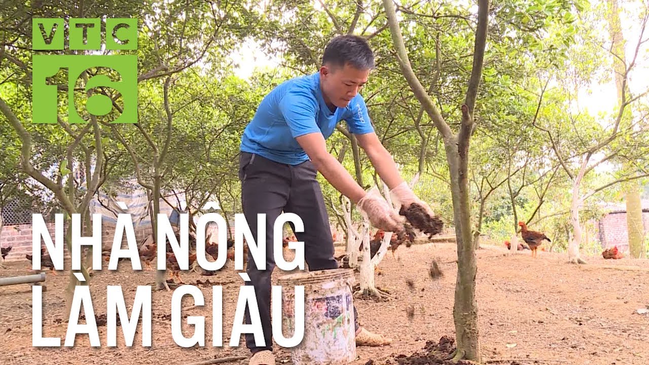 Độc đáo mô hình VAC khép kín, thu tiền tỷ/năm | VTC16