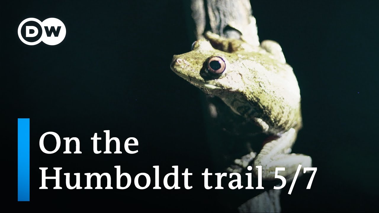 Humboldt discovers biodiversity in the Orinoco basin — Part 5 | DW Documentary