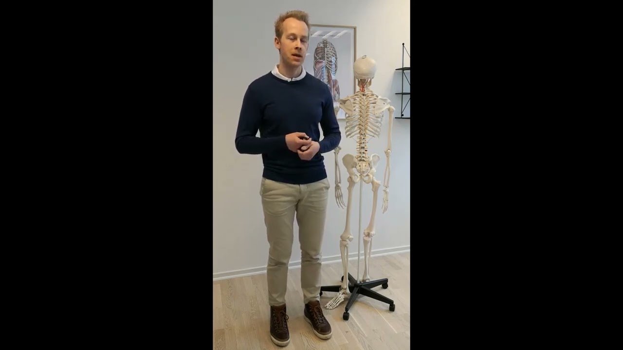 Bækken - Bækkensmerter - Årsager - Symptomer - Specialist osteopat behandling - Aarhus Osteopati