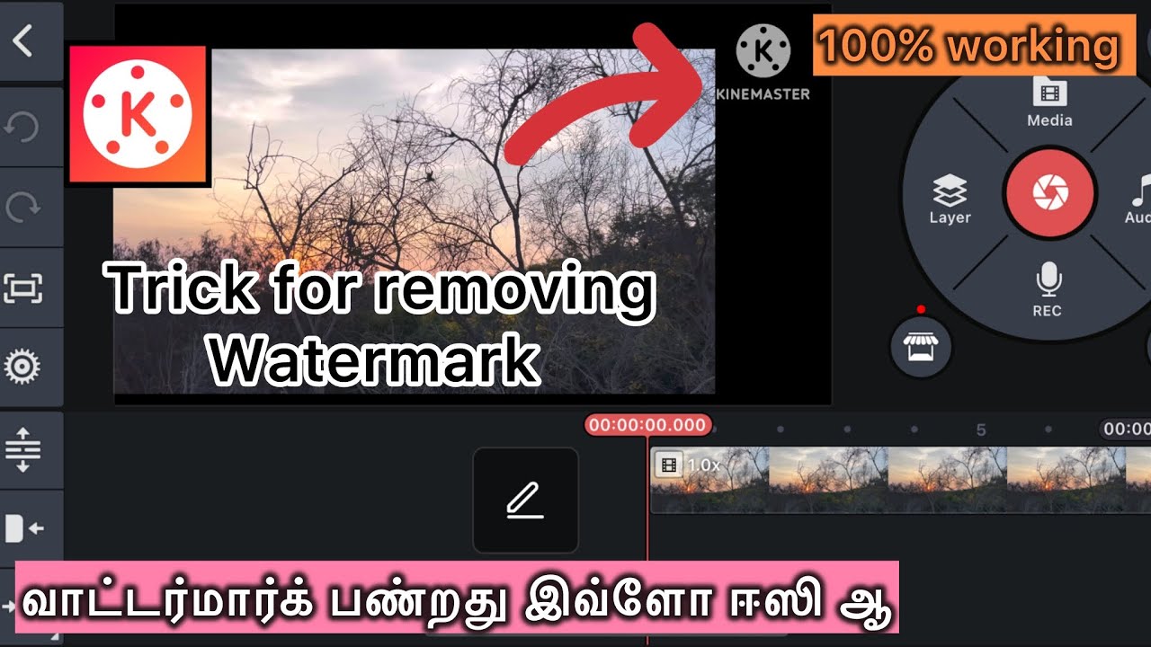 How to remove watermark from KineMaster using a trick in Tamil#kinemaster#watermark#beginners#bes...