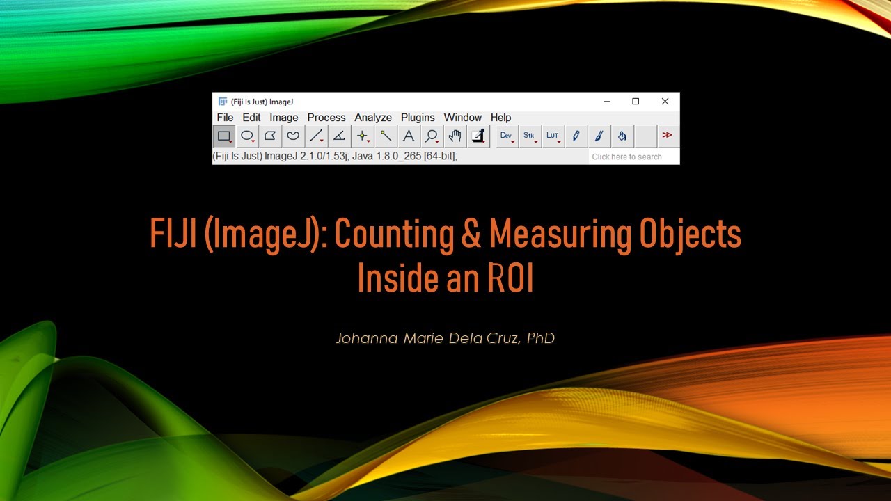 FIJI (ImageJ): Counting & Measuring Objects Inside an ROI
