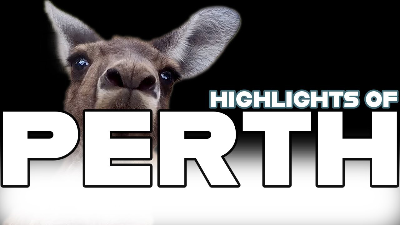 Epic Perth journey—from skyline views to Aussie wildlife and desert wonders! Spend time in Australia