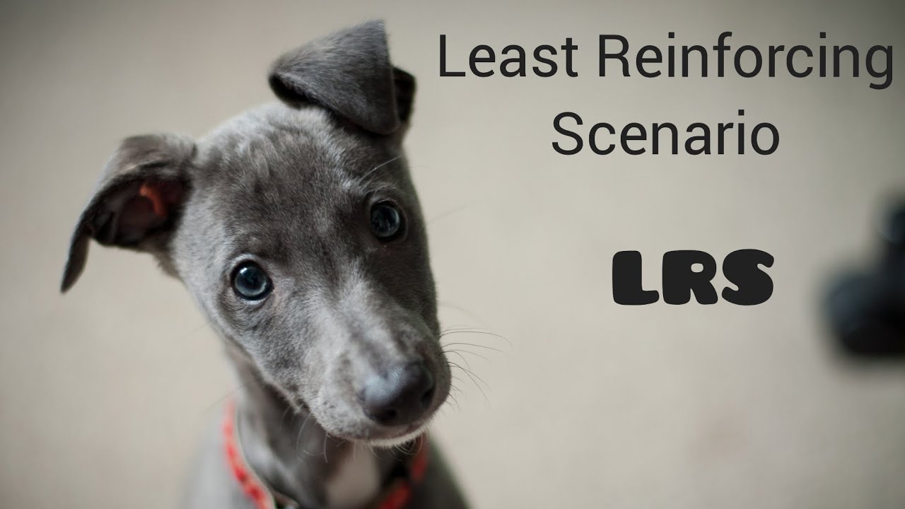 LRS in Animal Training (Least Reinforcing Scenario)