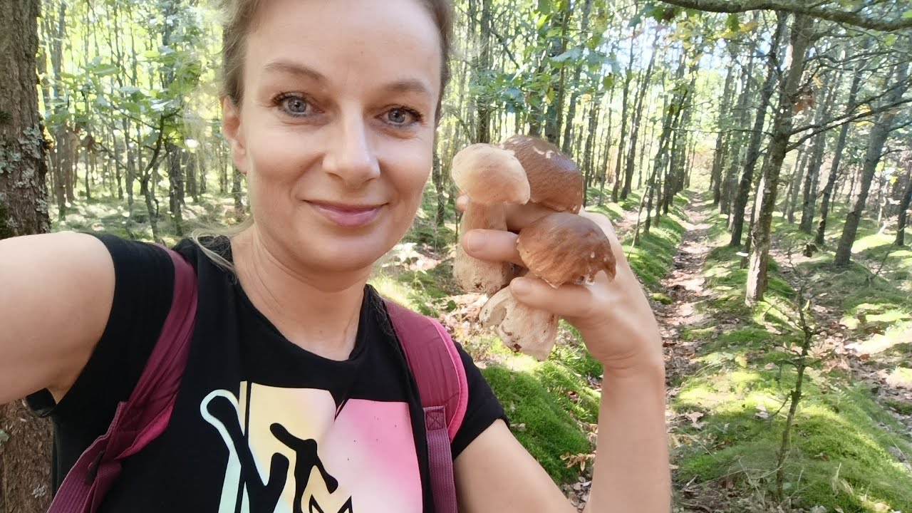 GRZYBOBRANIE 2025 🌲ZAGAJNIK BOROWIKOWY