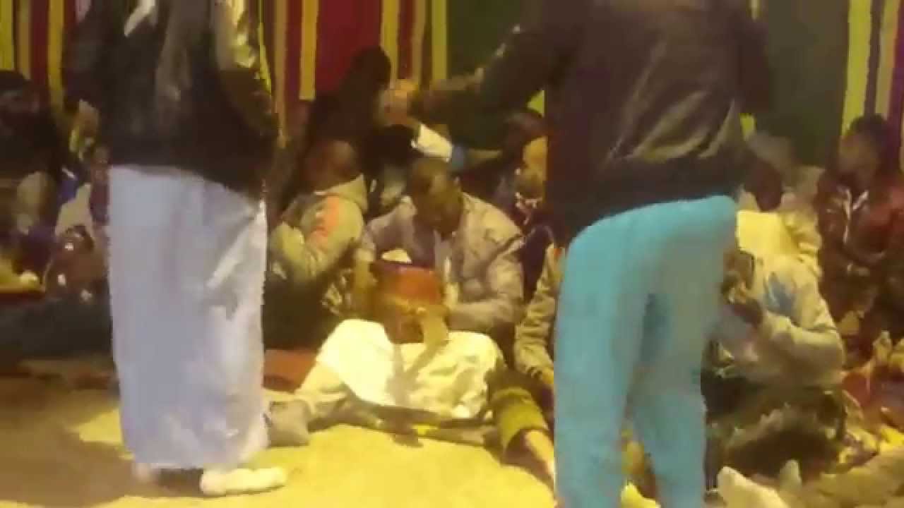 maalem hamou (jaraya)