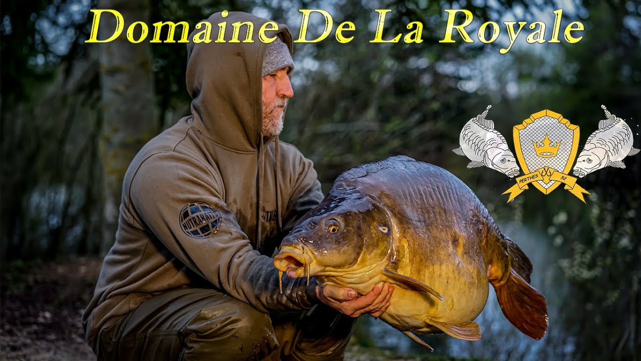 Domaine de la royale
