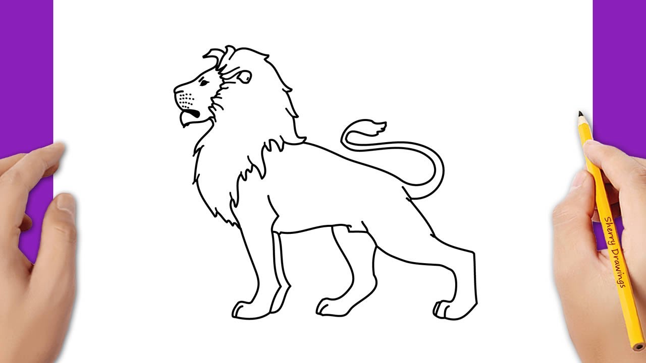 How to draw a lion