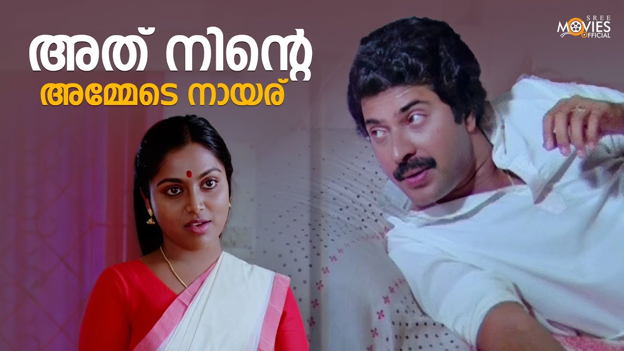 അത് നിന്റെ അമ്മേടെ നായര് | Sandarbham Movie Scene | Mamootty | Saritha