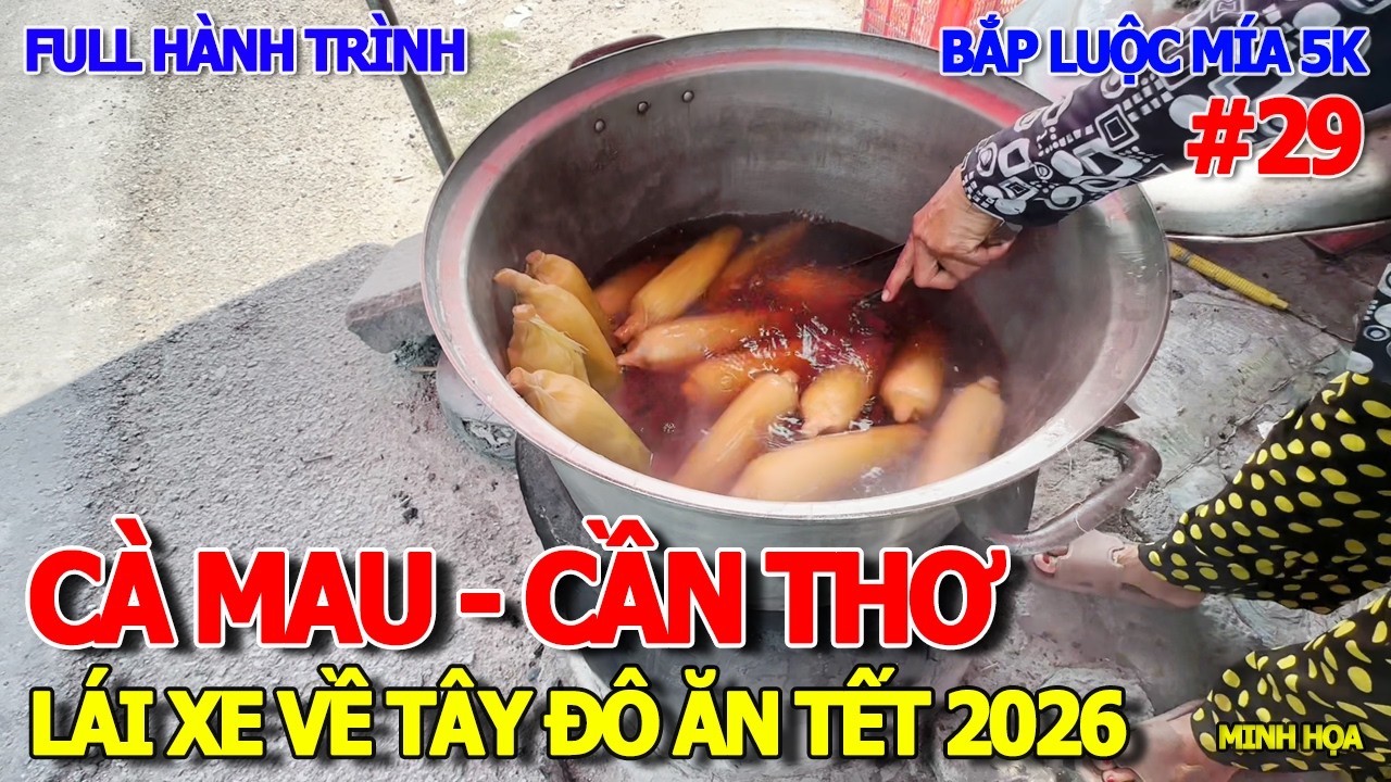 FULL HÀNH TRÌNH CÀ MAU - CẦN THƠ 141KM LÁI XE VỀ TÂY ĐÔ ĂN TẾT 2026 - BẮP LUỘC MÍA & HOTEL SHERATON