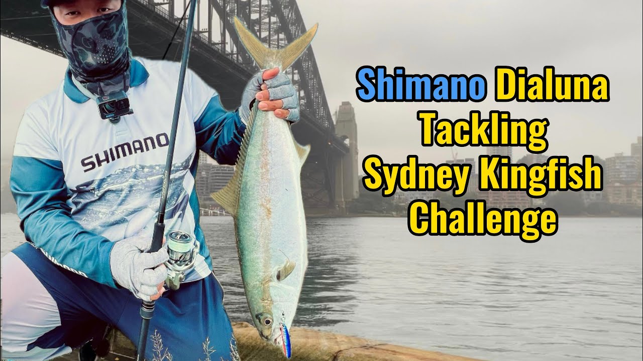 Sydney Kingfish shorejigging challenge with Shimano Dialuna