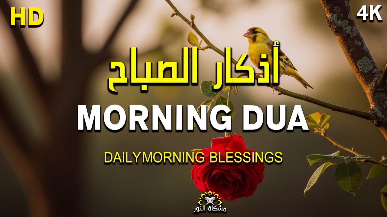 Morning Adhkar (أذكار الصباح) | Protection, Barakah & Tranquility | Excellent Quran By Alaa Aqel