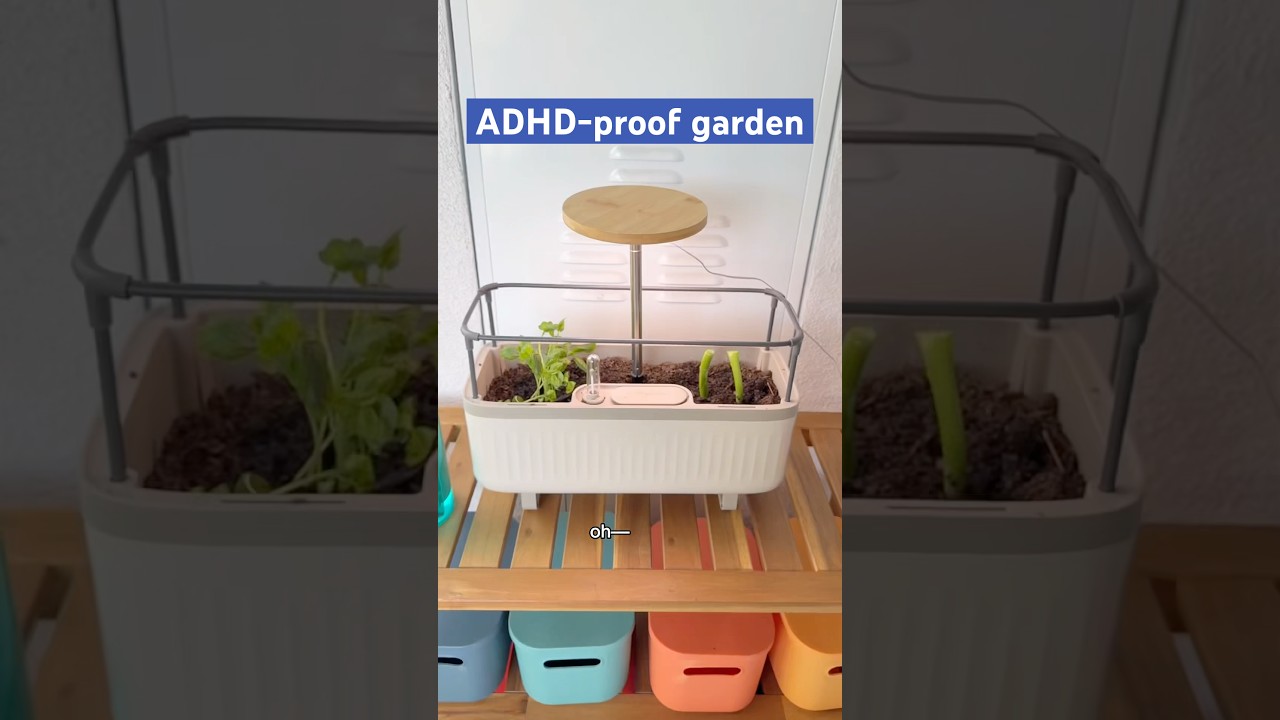 Let&rsquo;s make an ADHD-proof herb garden 🪴 #herbgarden #balconygarden #ADHD