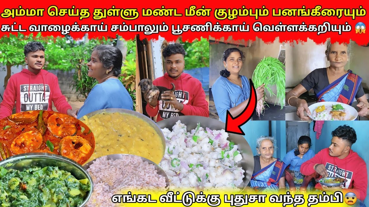 திடீரென சாறி கட்டி  வெளிக்கிட்ட அம்மம்மா காரணம் 😨|jaffna|VKJT VLOG 
