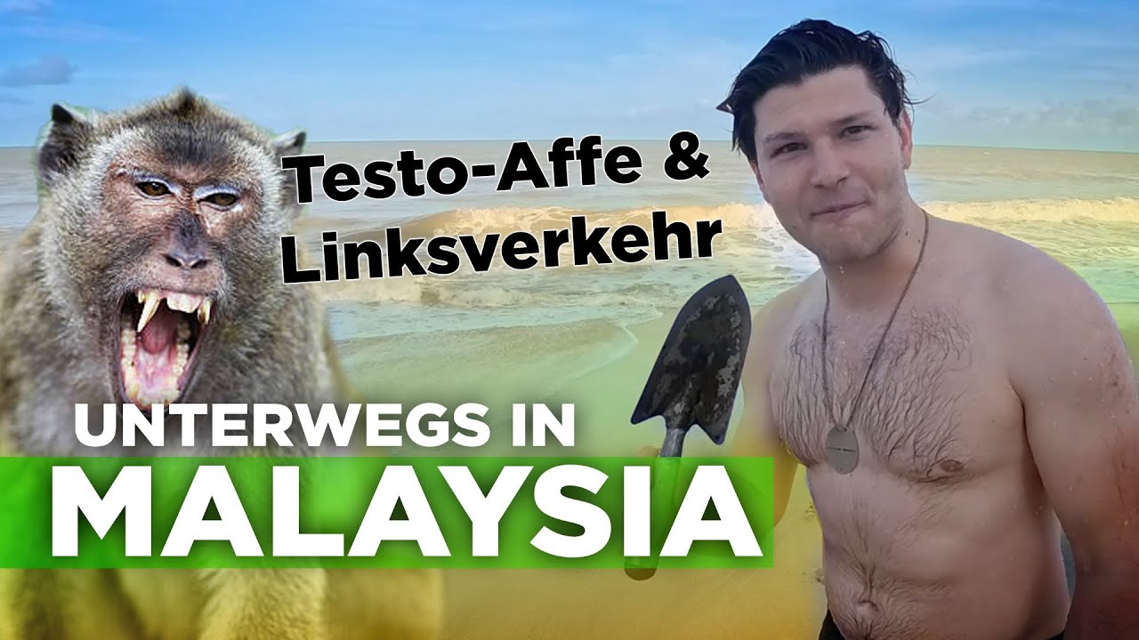 Unterwegs in Malaysia: Linksverkehr, indisches Streetfood und diebische Affen  | Teil 2