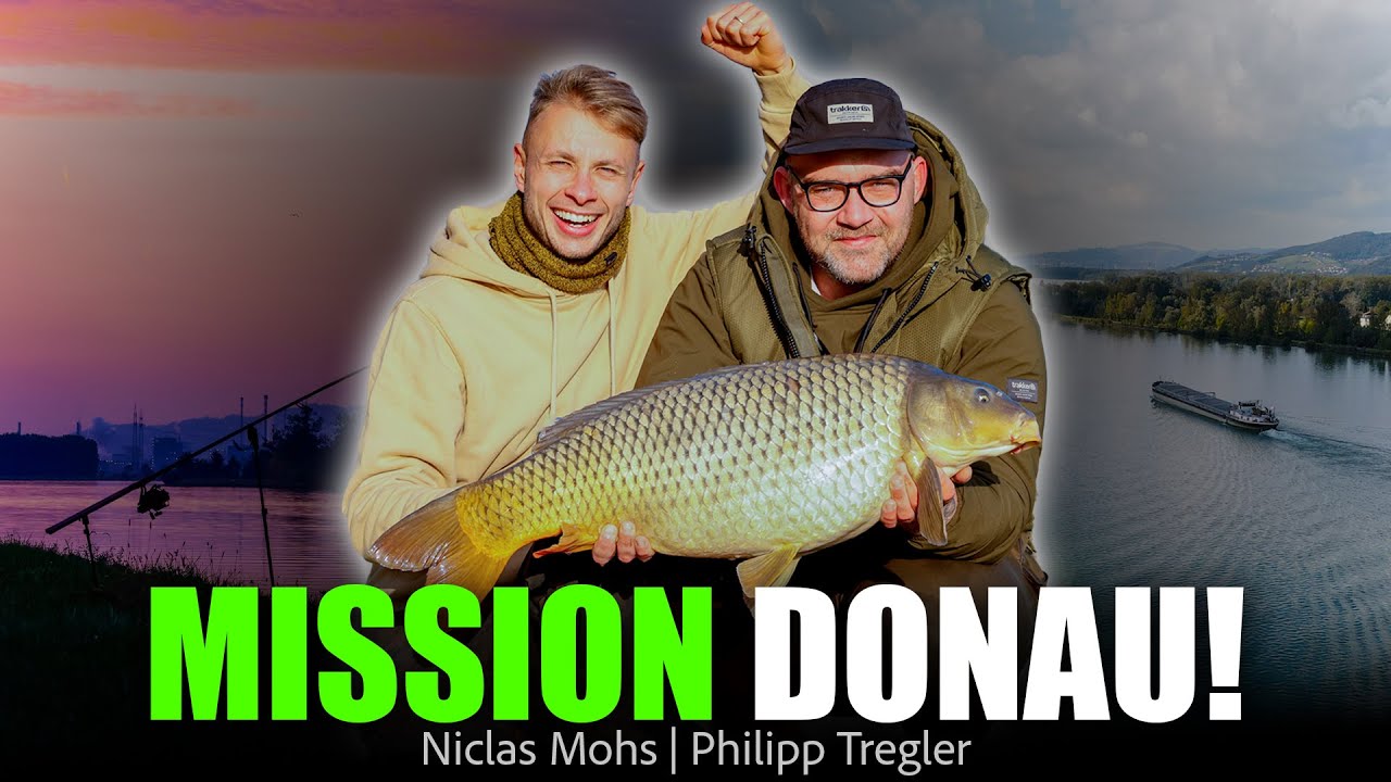 Karpfenangeln am großen Fluss - MISSION DONAU! Niclas Mohs x Philipp Tregler