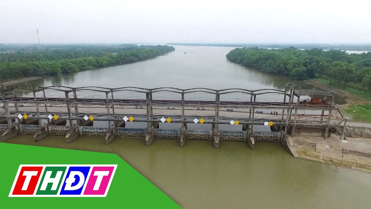 Chủ động ứng phó xâm nhập mặn ở ĐBSCL và hạn hán | THDT