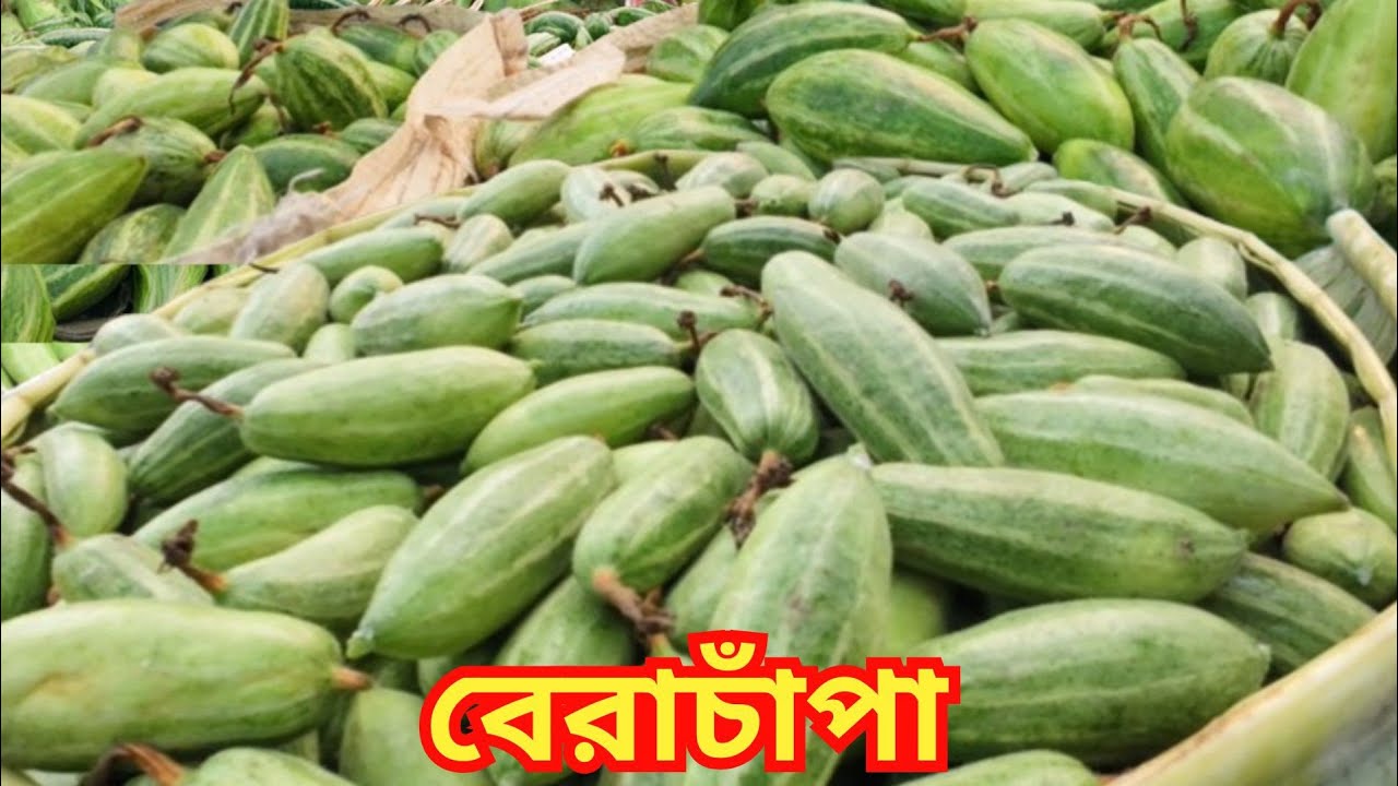 হাটে সবজির প্রচুর আমদানি এবং দাম আনেক সস্তা। Wholesale Vegetable Market in Kolkata ।