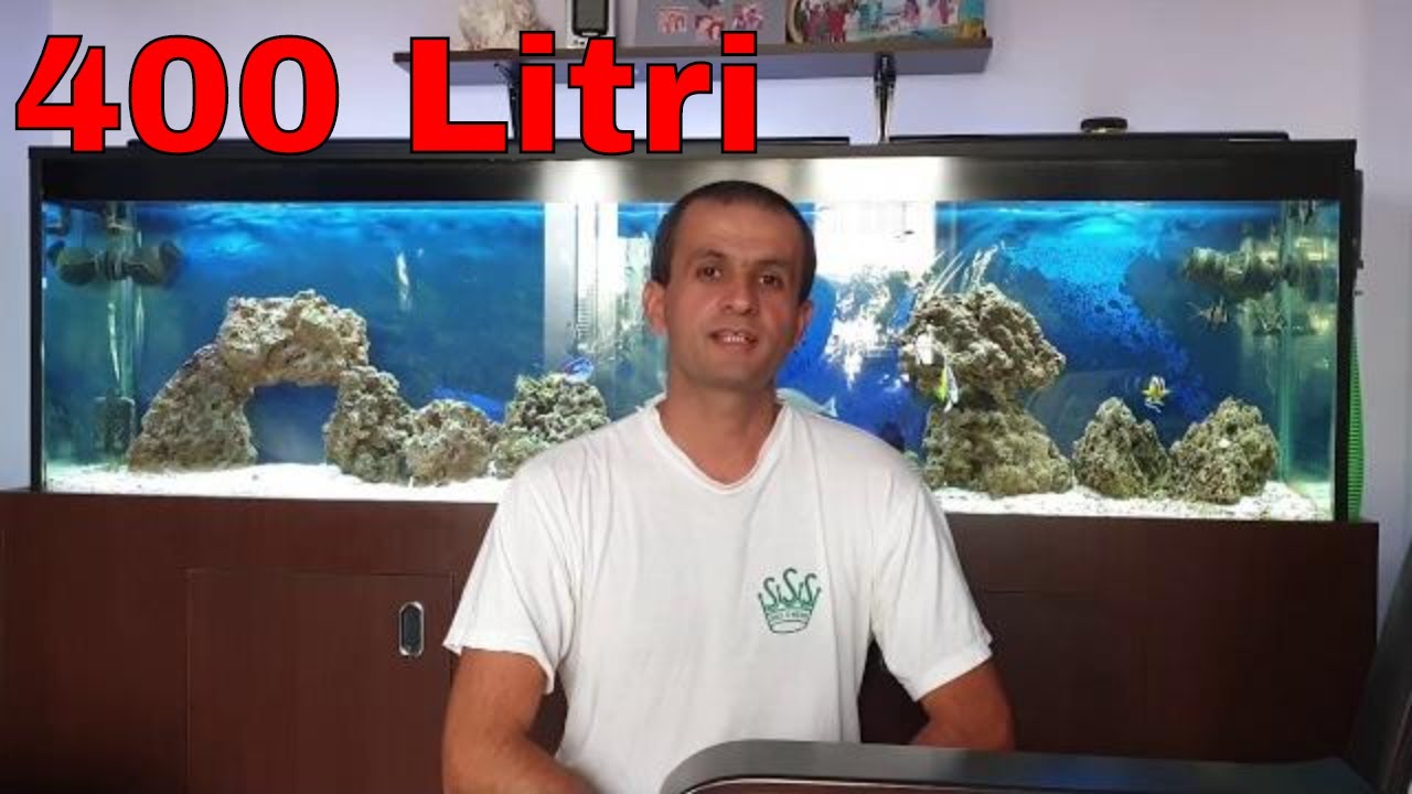 Acvariul marin: cum se face schimbul de apa