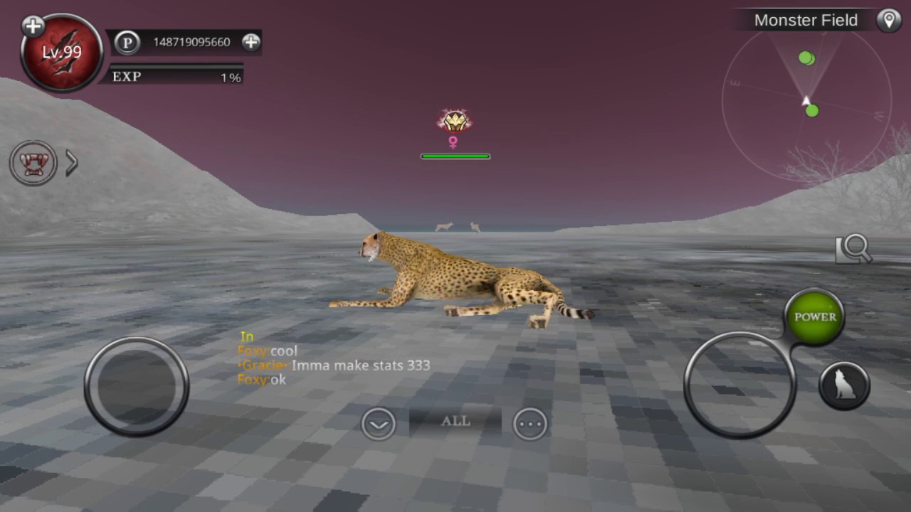 Wild animals online - I'm Back!!