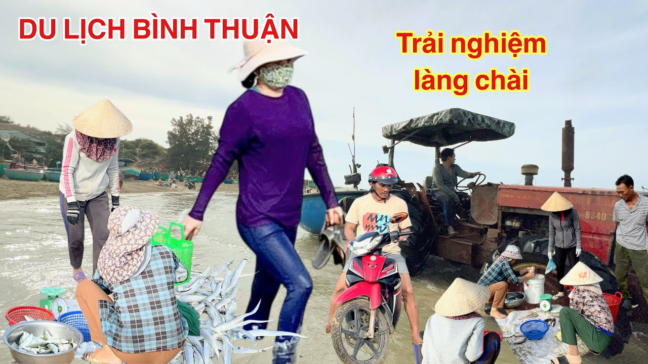 Du Lịch Bình Thuận Ghé Làng Chài Quê Dạo Biển, Trải Nghiệm Mô Tô Địa Hình Cưỡi Lạc Đà Trên Đồi Cát
