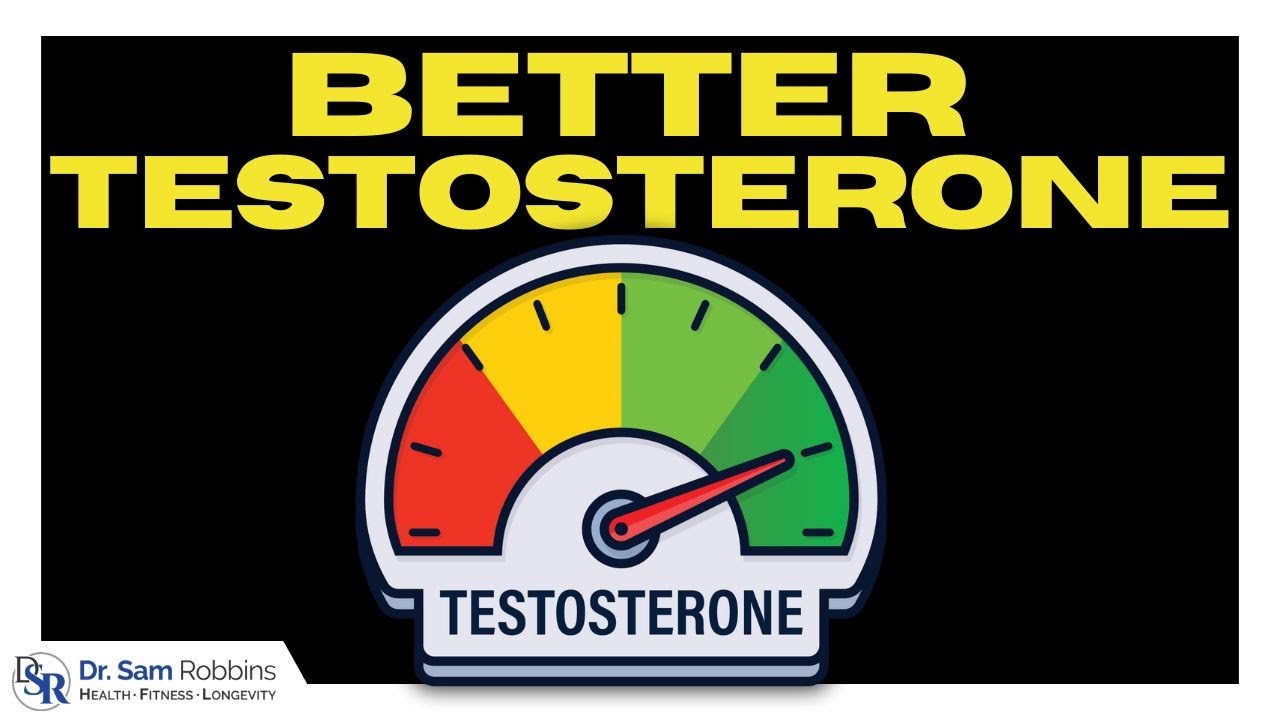 Make Testosterone Work Better - Androgen Receptor Sensitivity & Density