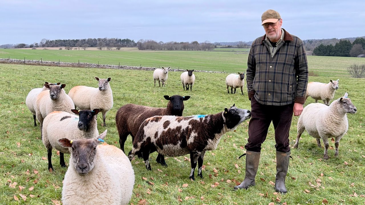 Government's U-Turn on IHT for Farmers, the Farming Profitability Review & how I became a farmer