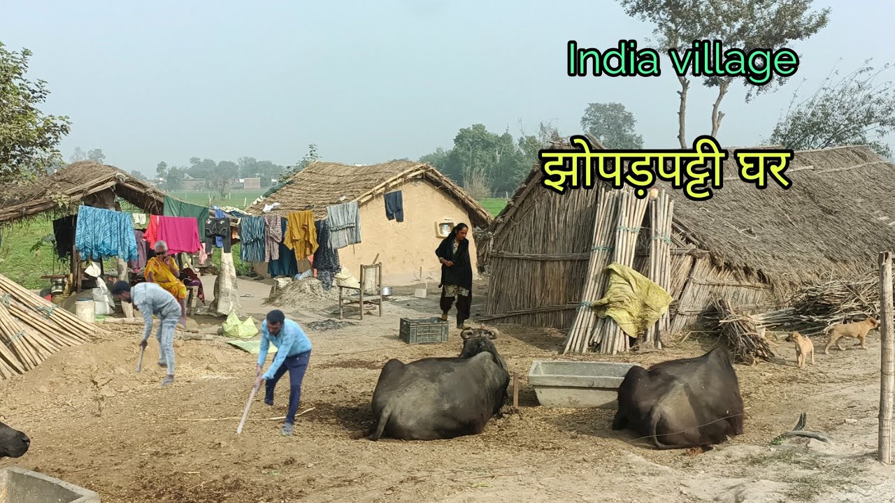 What kind of work do people do in Uttar Pradesh India Village? #indiavillagereallife 