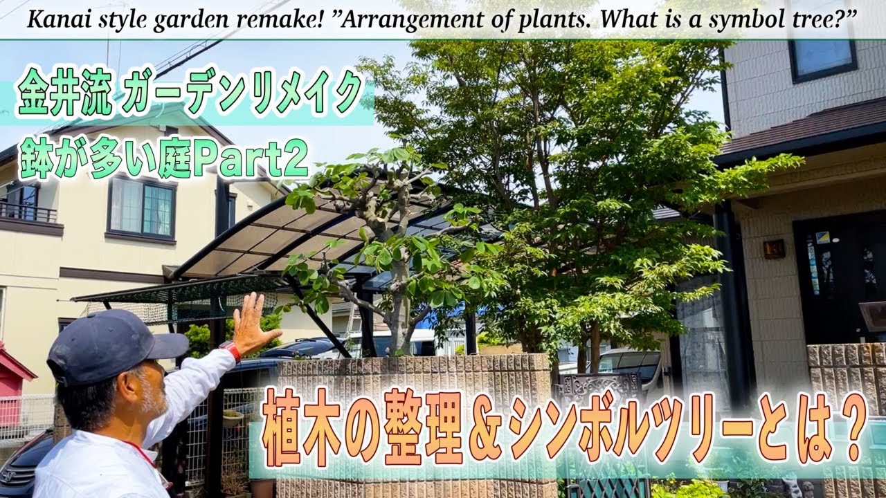 【庭作り】鉢の多い庭＃2「植木の整理＆シンボルツリーとは？」庭の匠が考えるシンボルツリーの概念・生垣の撤去抜根・植木の剪定移植・芝の剥がし方【金井流ガーデンリメイク】