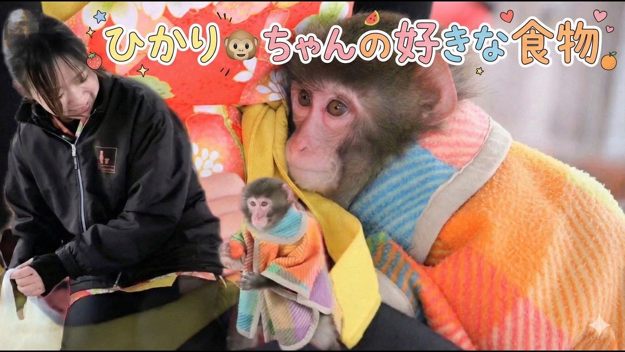 ひかり🐵ちゃんが、好きな食べ物が分かる動画　彩　休憩中　　猿まわし🐵💝　二助企画