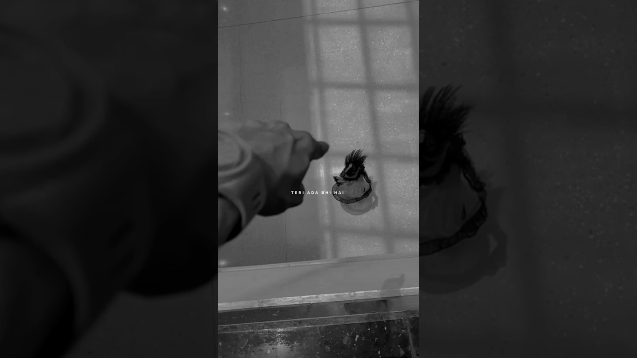 Chand Sifarish Slowed -Reverb Song|| Aesthetic Status||Love Status||New Sad Status