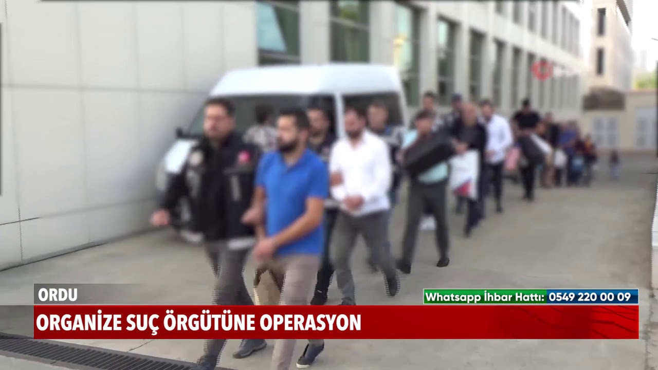 Organize suç örgütüne operasyon