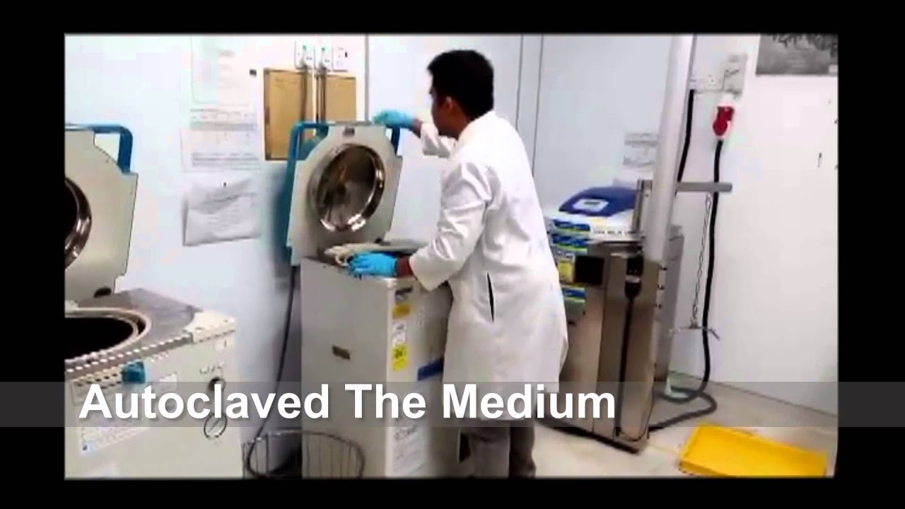 Production of Biobutanol