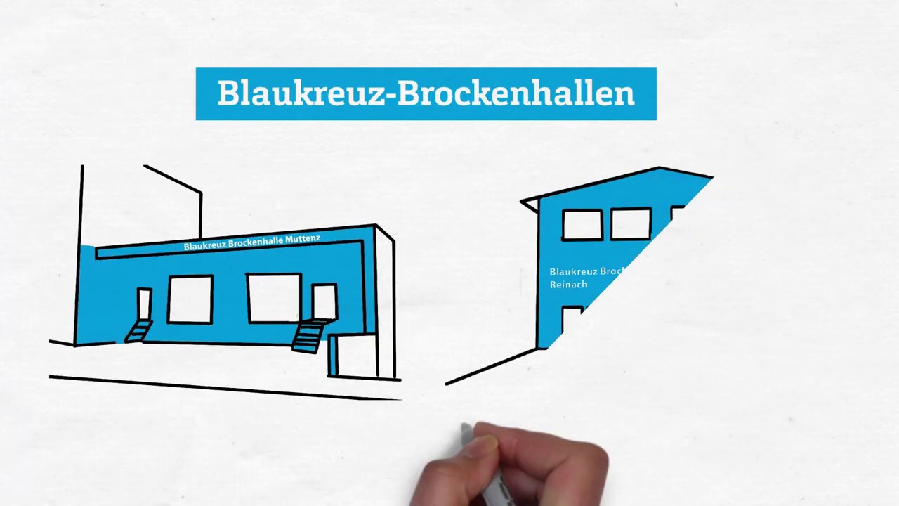 Brocki Video Reinach