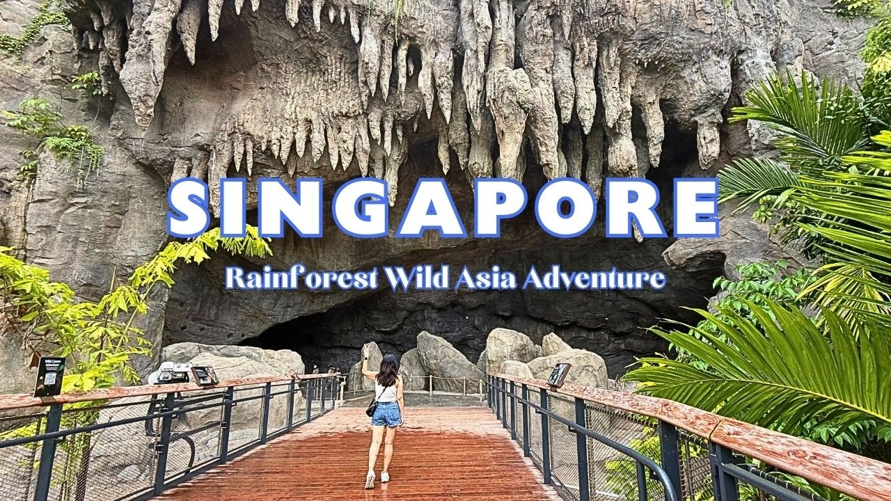 Rainforest Wild Asia Singapore Adventure Vlog and Where I choose to have brunch at Mandai Rainforest