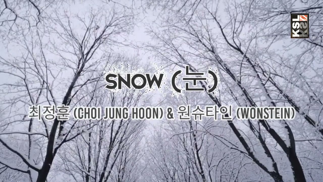 WONSTEIN (원슈타인) & Choi Jung Hoon (최정훈) -  Snow (눈)  (Cover + Lyrics)
