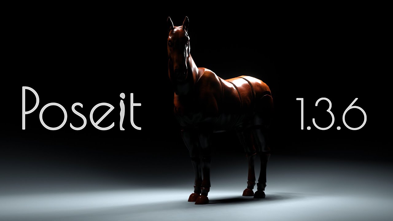 PoseIt 1 3 6