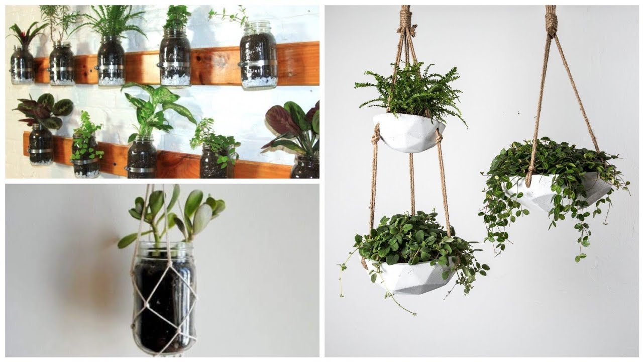 16 Ideias de Pendura vasos  Deixará sua casa mais verde e aconchegante