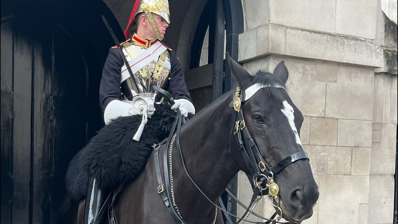 Ormonde: Back in Bussiness at Horse Guard in London