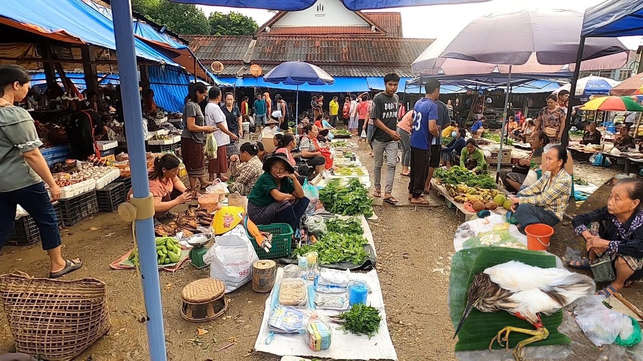 เลาะตลาดเมืองน้ำบาก หลวงพระบาง ของป่าลาว อาหารธรรมชาติหลายคัก