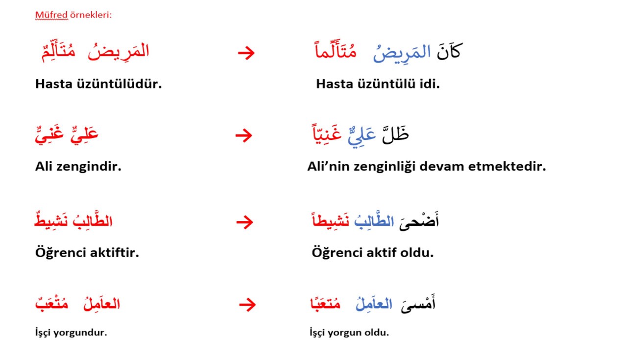 kane ve kardeşleri/benzerleri!