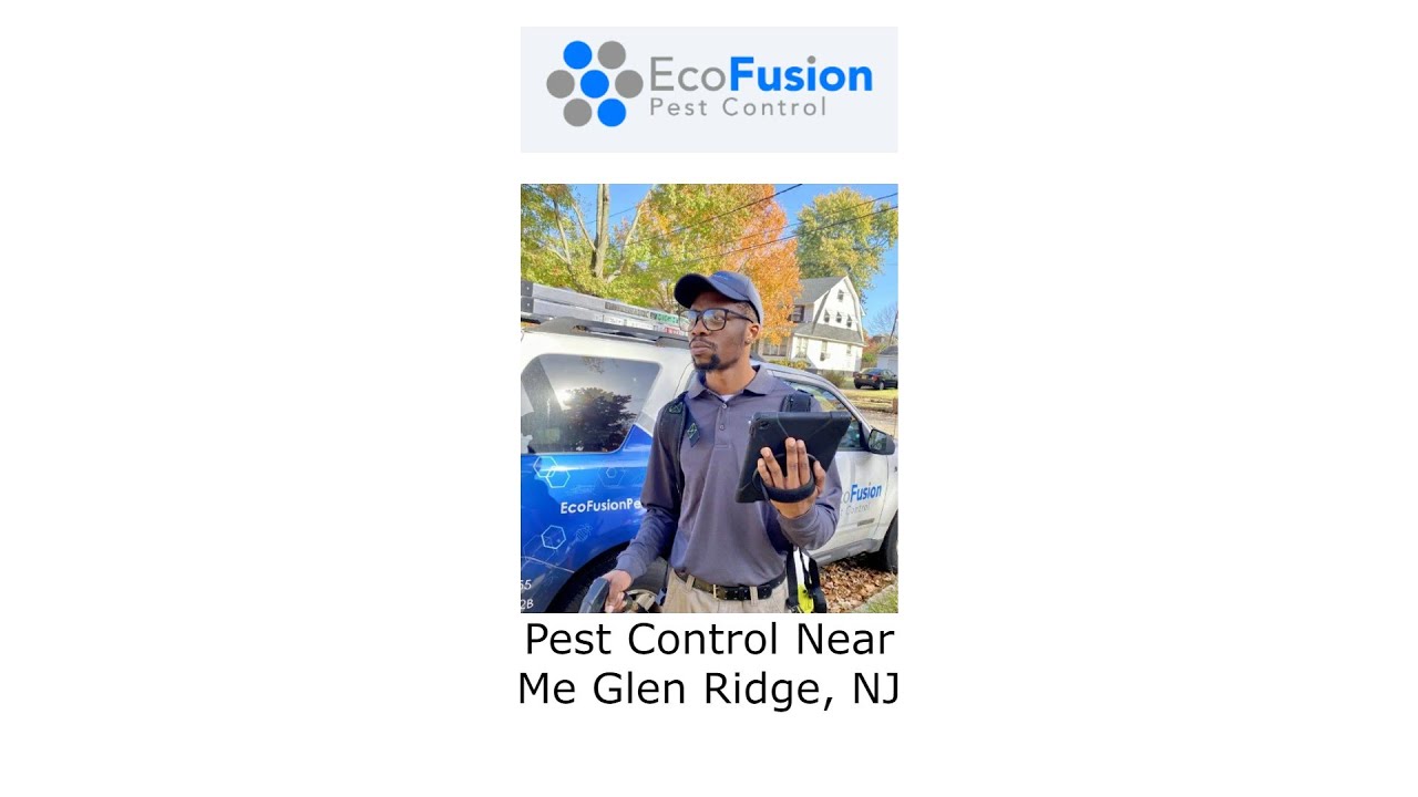 Pest Control Near Me Glen Ridge, NJ - EcoFusion Pest Control