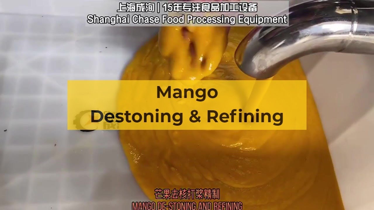 Mango destoner | Mango pulper | Mango puree processing machinery