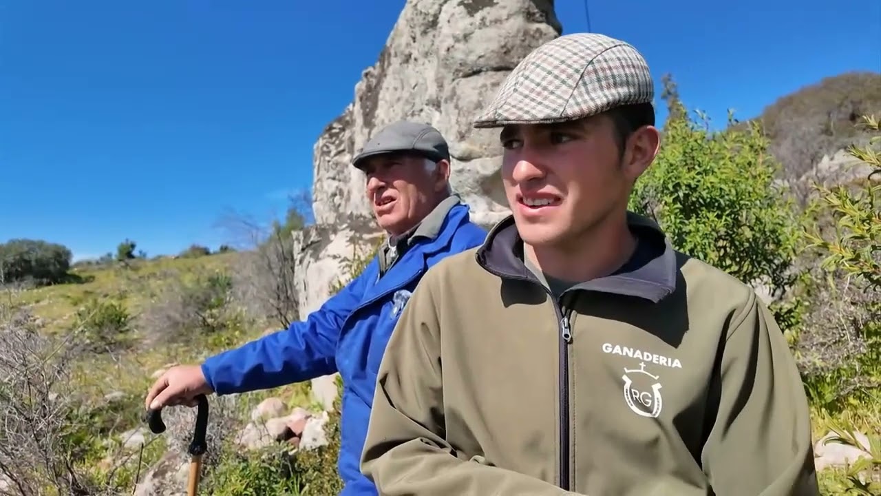 Trashumancia en la Sierra de Segura, Jaén