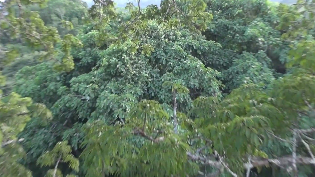 Ecuador - Urw&auml;lder und Vulkane