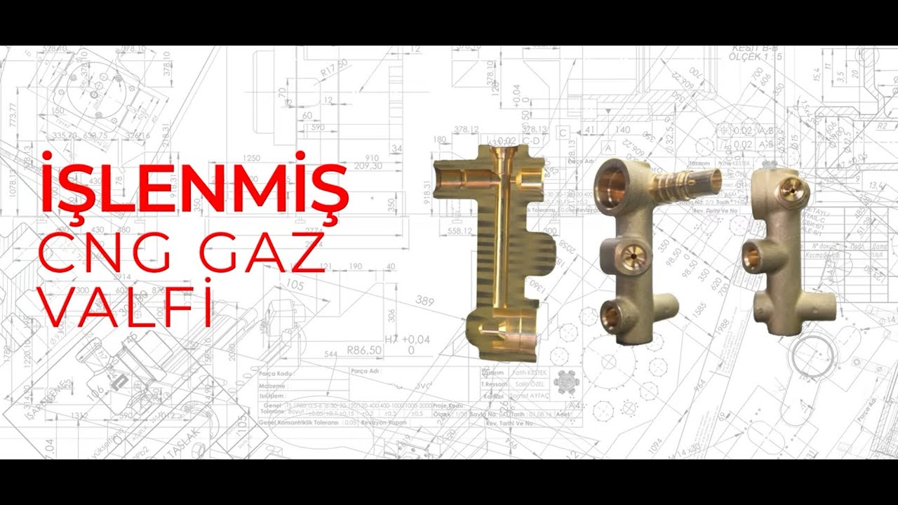 Otomotiv için Gaz Valfi Üreten Transfer Makinesi