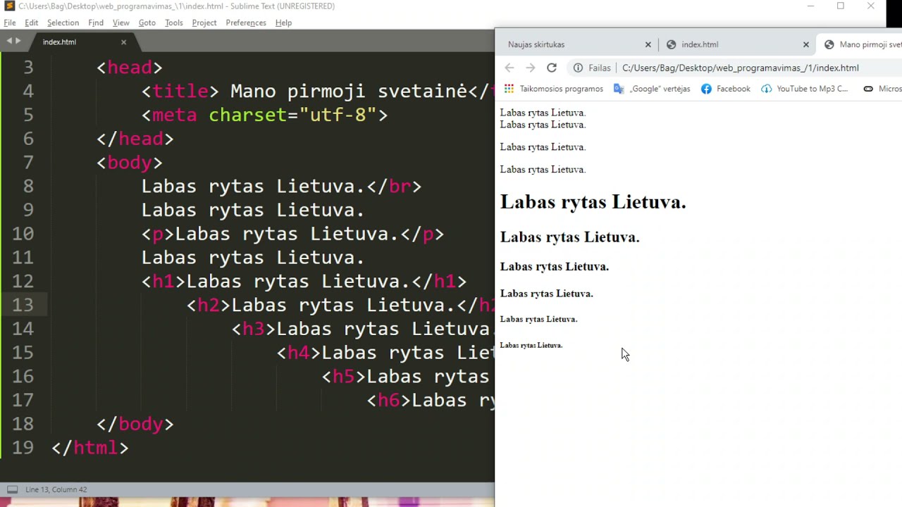 Web programavimas I dalis. HTML, CSS, JavaScript.