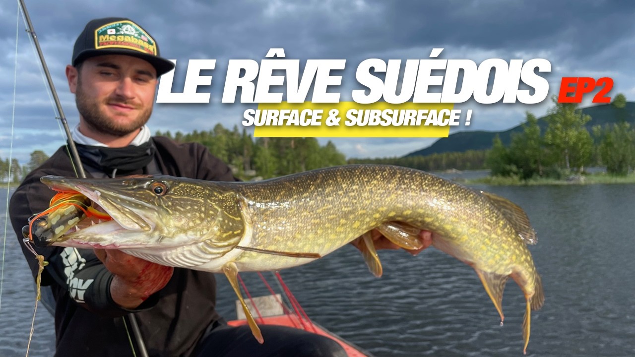 FRÉNÉSIE de BROCHETS MÉTRÉS en SUB-SURFACE ! Le rêve Suèdois EP2 🇸🇪